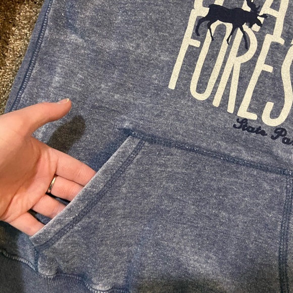 State Forest Hoodie - Picture 4 of 10